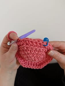 A row of single crochet stitches worked into the back loop only