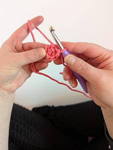 Six single crochet stitches worked into the magic ring and magic ring closed