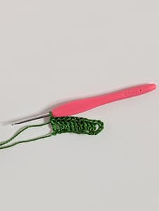 One row of Double crochet stitches in green yarn